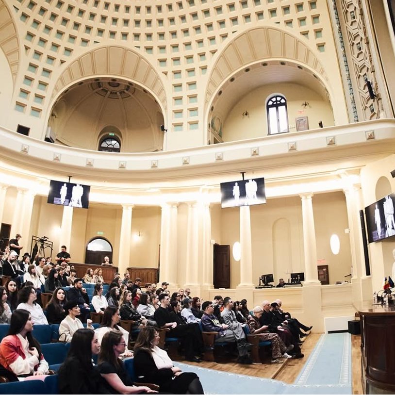 Romanian Institutional Support Program